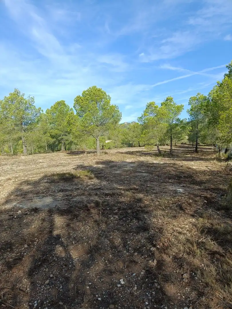 Terrenos y solares en venta en L'Ametlla de Mar pueblo, imagen 8