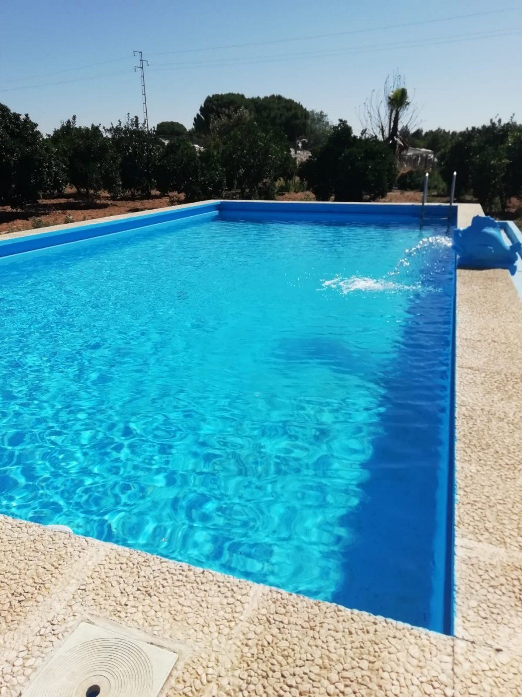 Piscina de Casa o chalet en venta en Utrera con Jardín privado, Trastero y Piscina