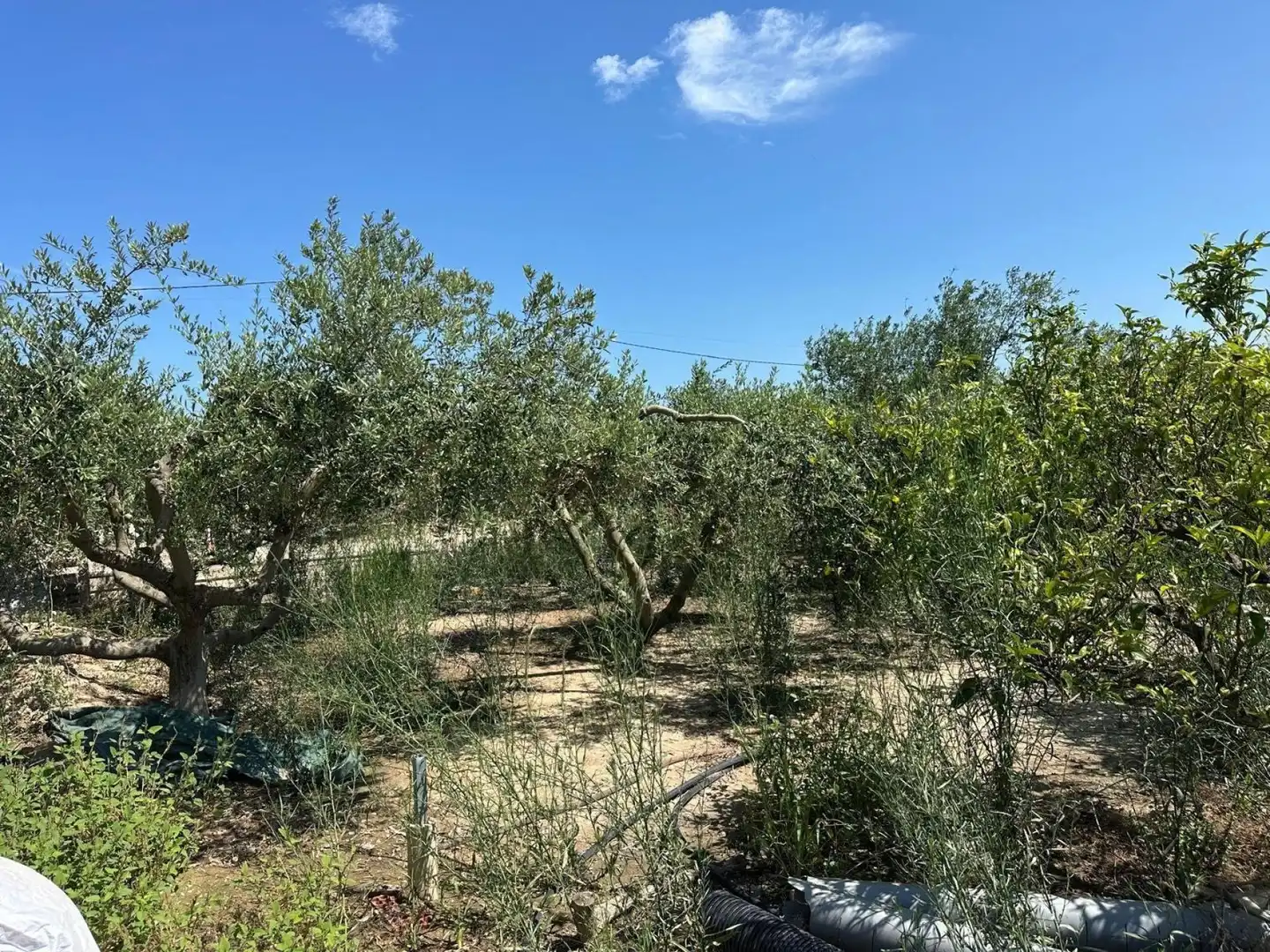 Casa en venta en Sant Jaume d'Enveja, imagen 20