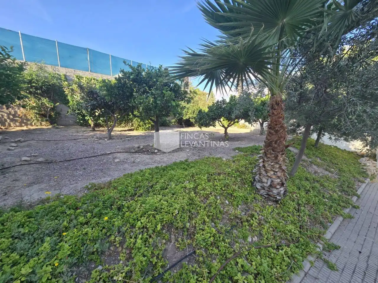 Chalet con piscina en venta en La Huerta, imagen 25