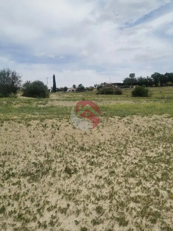 Terreni e lotti in vendita a Centro