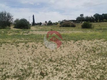 Terreno rustico in vendita a El Cigarral - Dehesa - Borrajo
