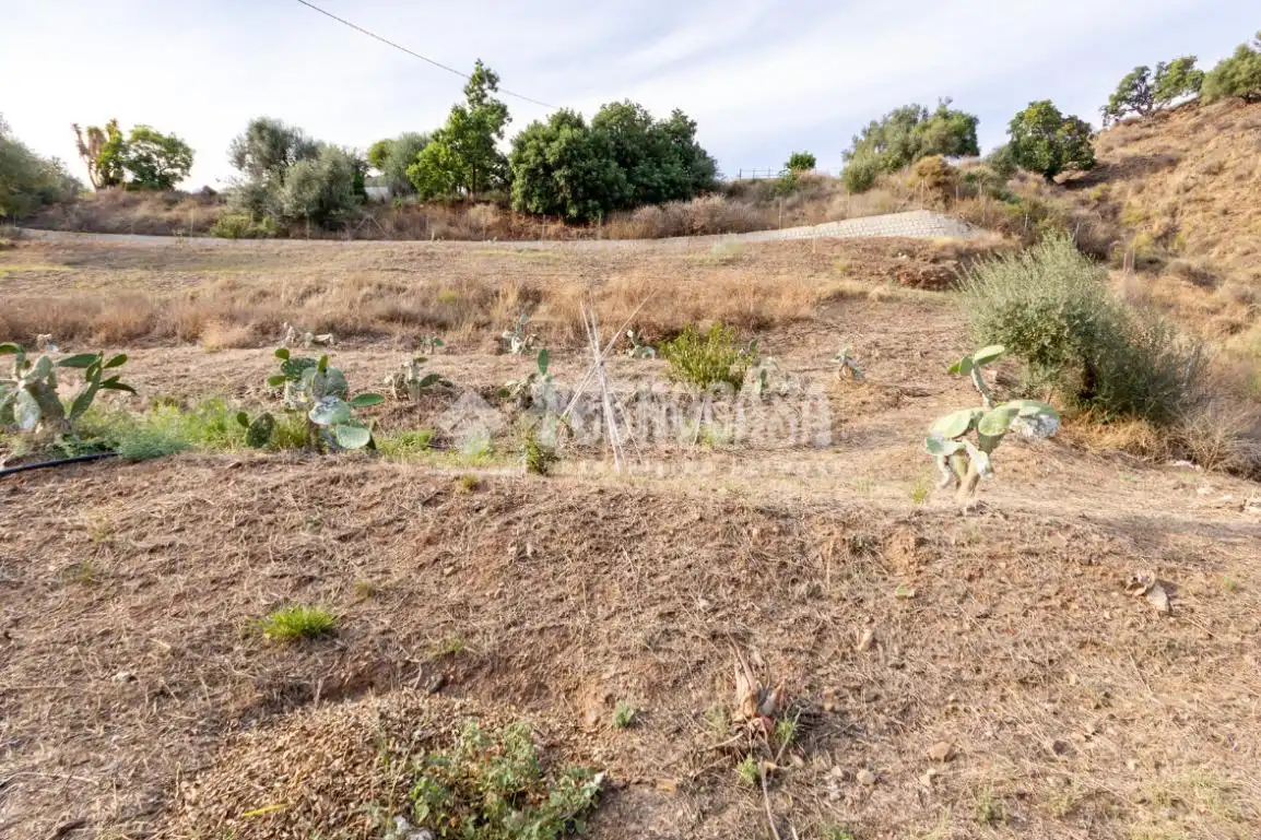 Country house for sale in Canillas de Aceituno, imagen 43