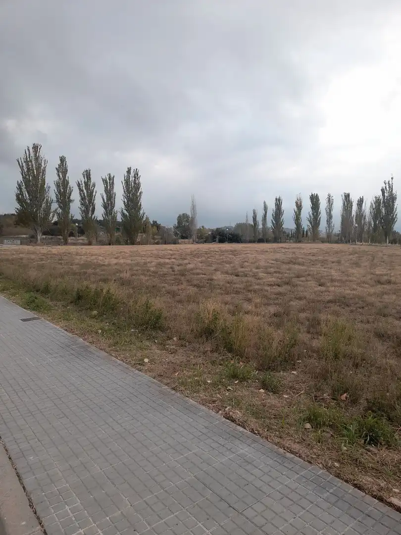 Terreny industrial de lloguer a Can Illa, imagen 14