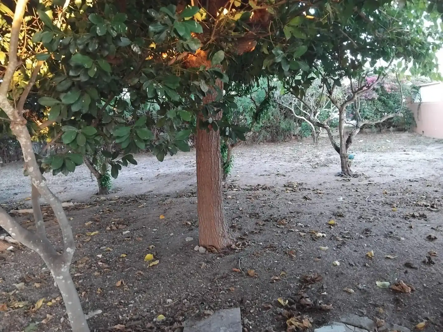 Detached house with garden for sale in El Marenyet, imagen 20