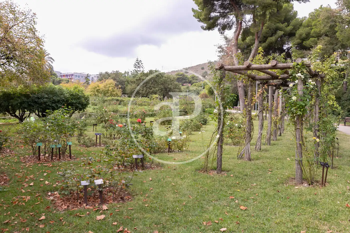 Jardín de Residencial en venta en Barcelona