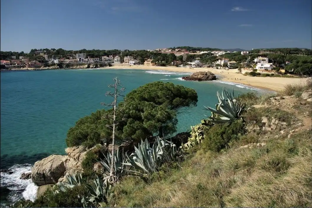 Grundstücke und Bauplätze zum Verkauf in Sa Tamardia 19