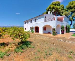 Garden of Country house for sale in Tortosa