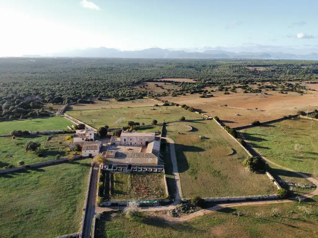 Finca rústica en venta en Santa Margalida