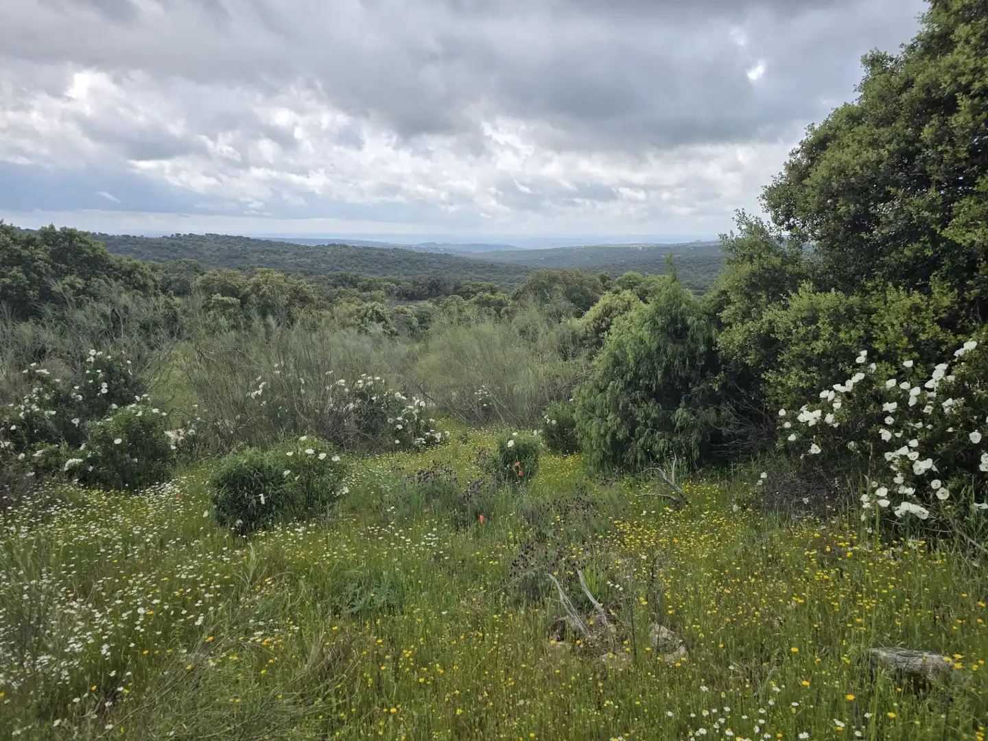 Terreno en venta en Valdemorillo