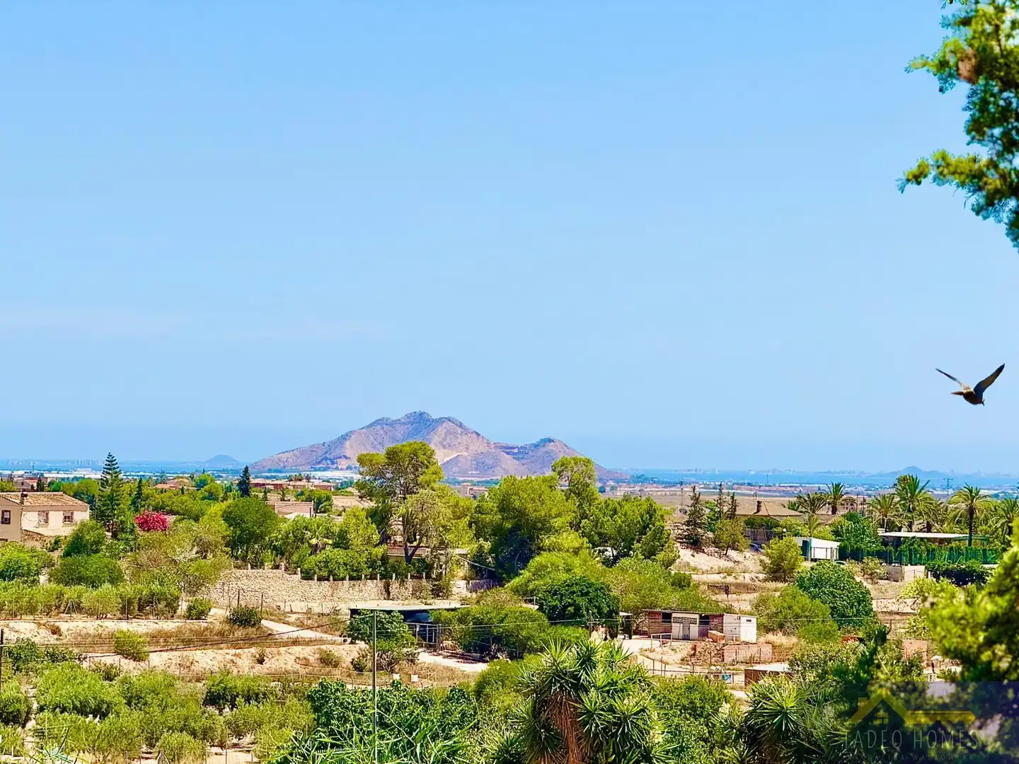 Finca rústica en venda a valle del sol , Gea y Truyols