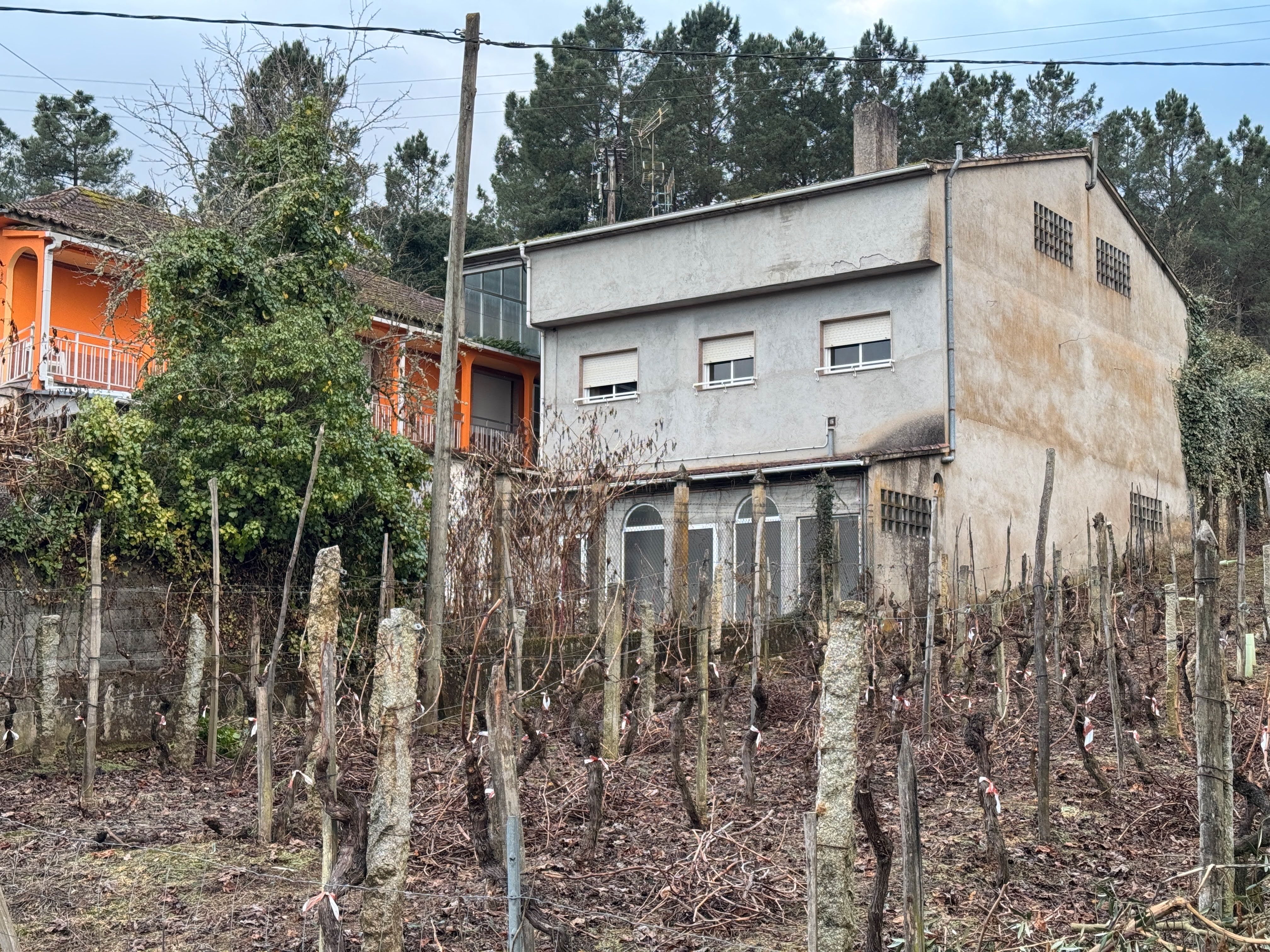 Exterior view of House or chalet for sale in Ribadavia  with Private garden and Storage room