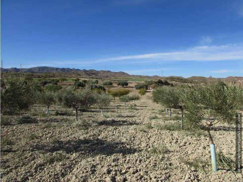 Country homes for sale in Antas