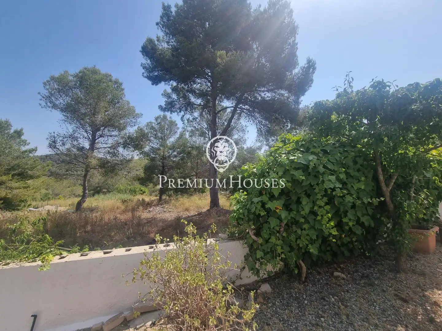 Terrain rustique à vendre à Vallpineda - Rocamar, imagen 11