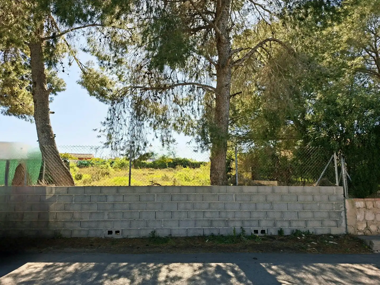 Terreno rustico in vendita a La Conarda - Montesano, imagen 7