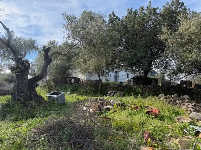 Land for sale in Ubrique