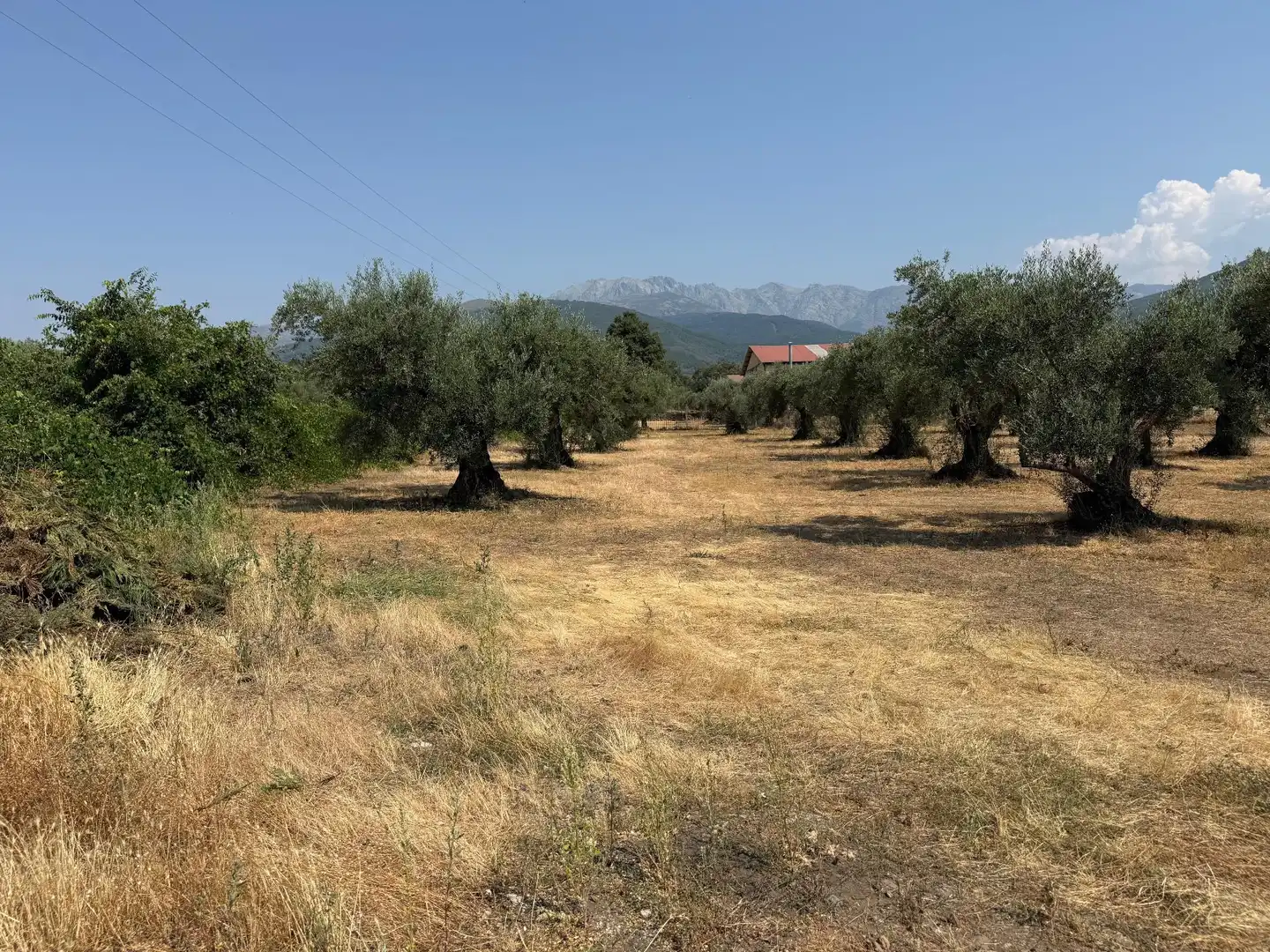 Terreni e lotti in vendita a Candeleda, imagen 4