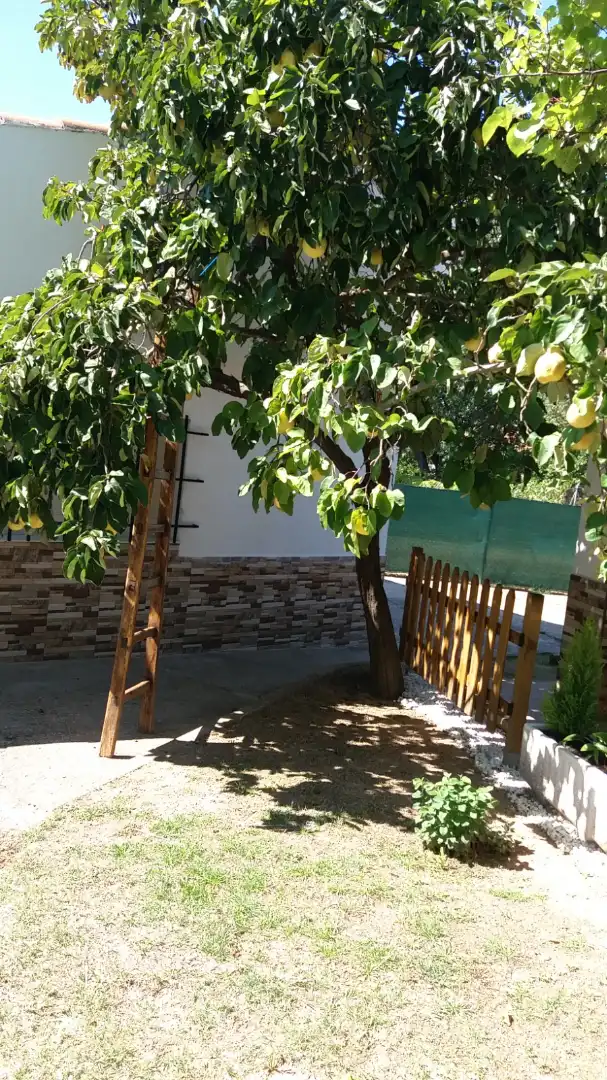 Terreni e lotti in vendita a La Hiniesta, imagen 24