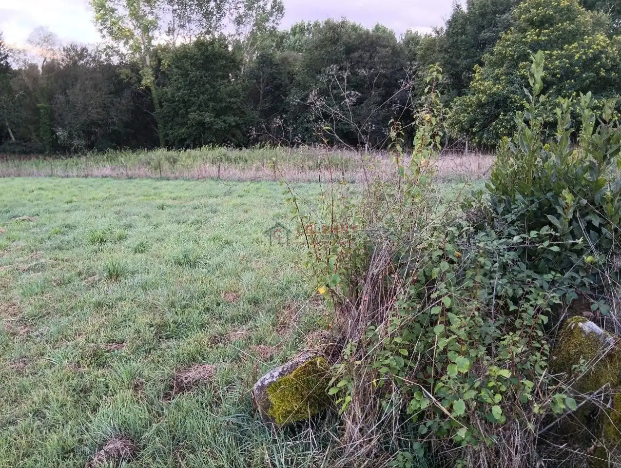 Rustikales Grundstück zum Verkauf in Amoeiro, imagen 4