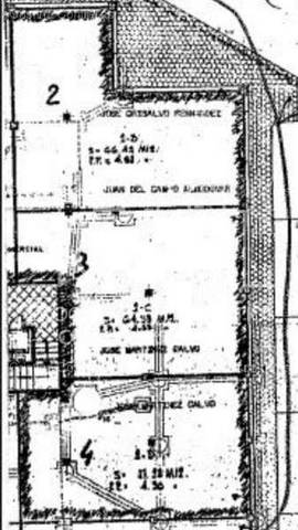 Local comercial en Venta en Triana Oeste