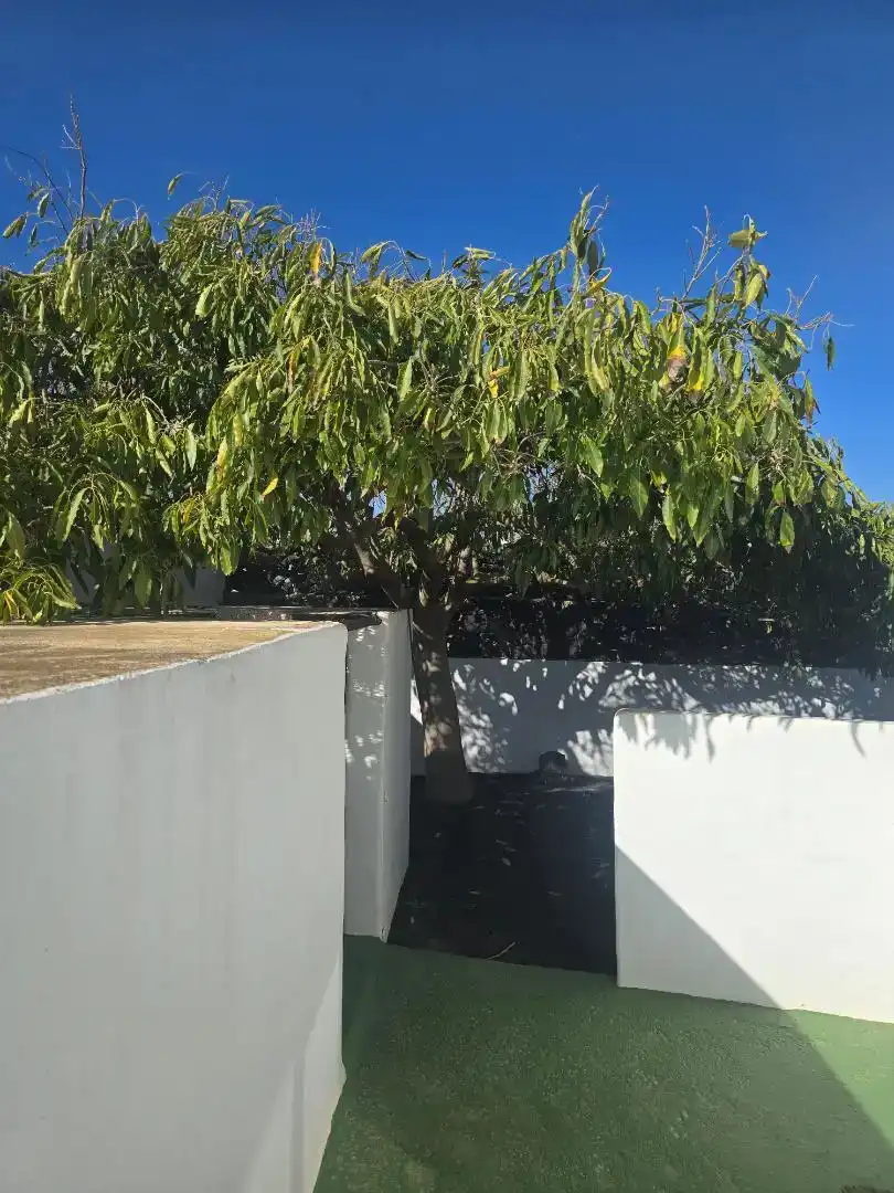 Exterior view of Houses for sale in Tías  with Air Conditioner, Private garden and Storage room