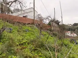 Finca rústica en venta en Calle el Tabuco, 28, Valleseco