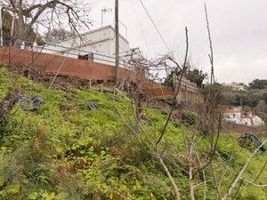 Photo 3 of Country homes for sale in Calle el Tabuco, 28, Valleseco, Las Palmas