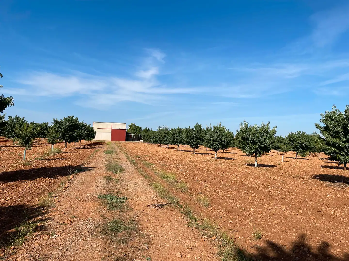 Terreny rústic en venda a Autovía de Extremadura a la Comunidad Valenciana, imagen 17