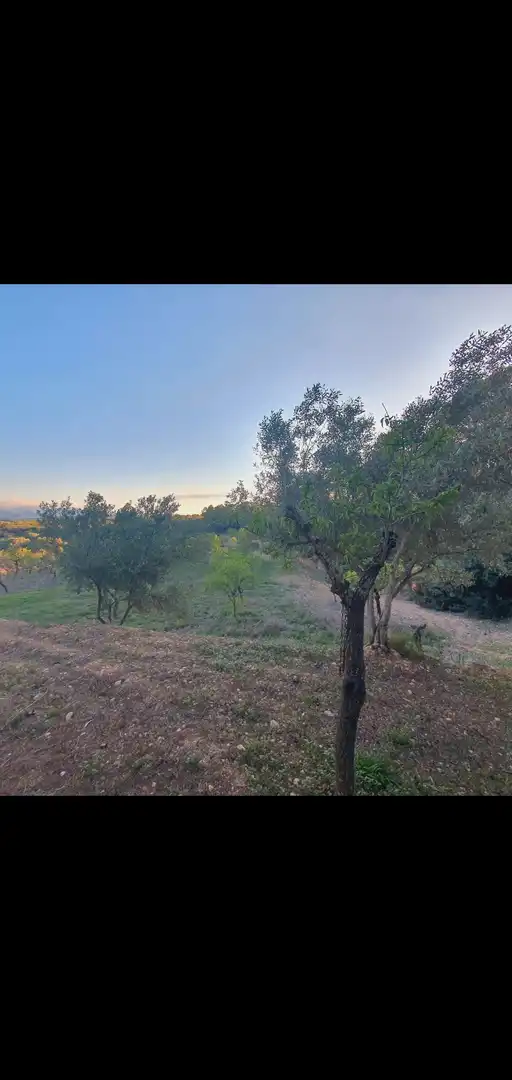 Casa en venta en Móra d'Ebre, imagen 14
