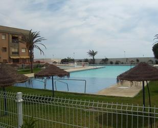 Piscina de Planta baixa de lloguer en  Almería Capital amb Jardí privat, Terrassa i Piscina comunitària