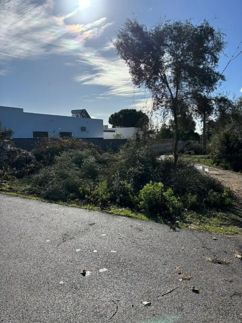 Residential land for sale in Camino de la Oliva 14, imagen 2