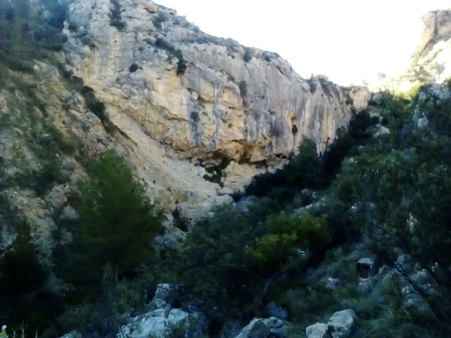 Terreny rústic en venda a Polígono 6 Parcela 92 BARRANC ROIG. ORXETA, imagen 4