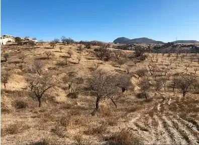 Terrain rustique à vendre à Huércal-Overa, imagen 3