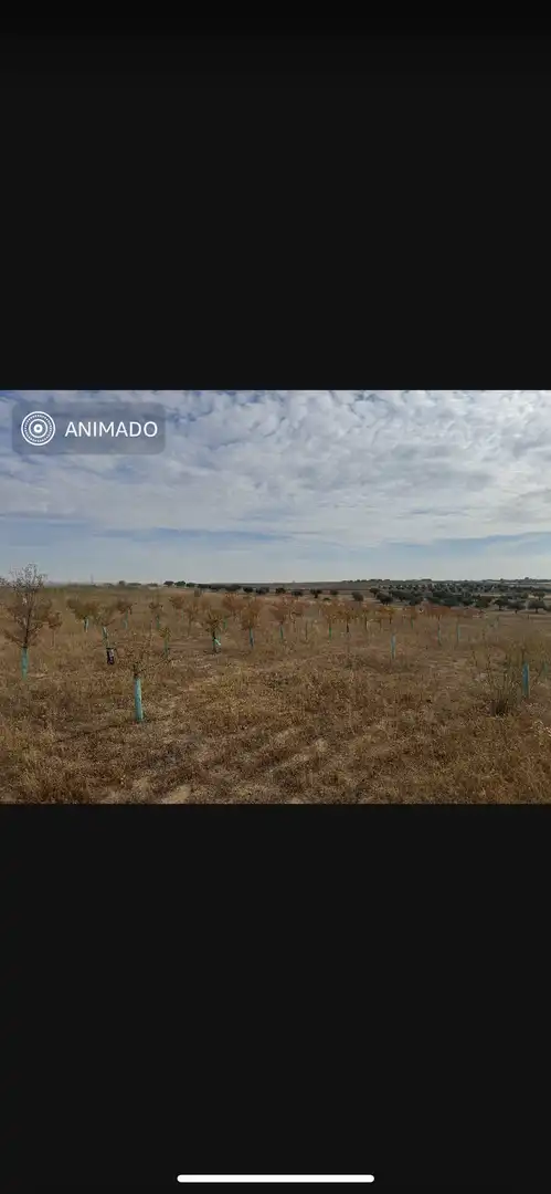 Terreno en venta en Bargas