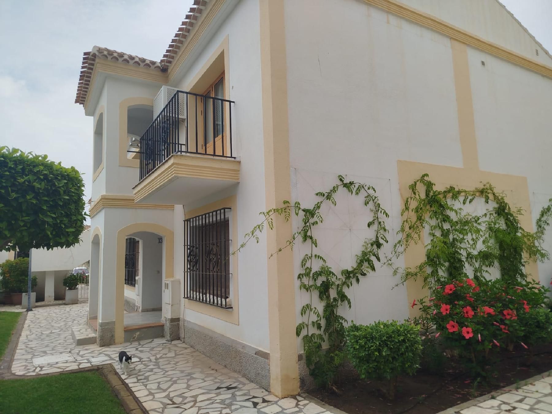 Exterior view of Flat for sale in Vera