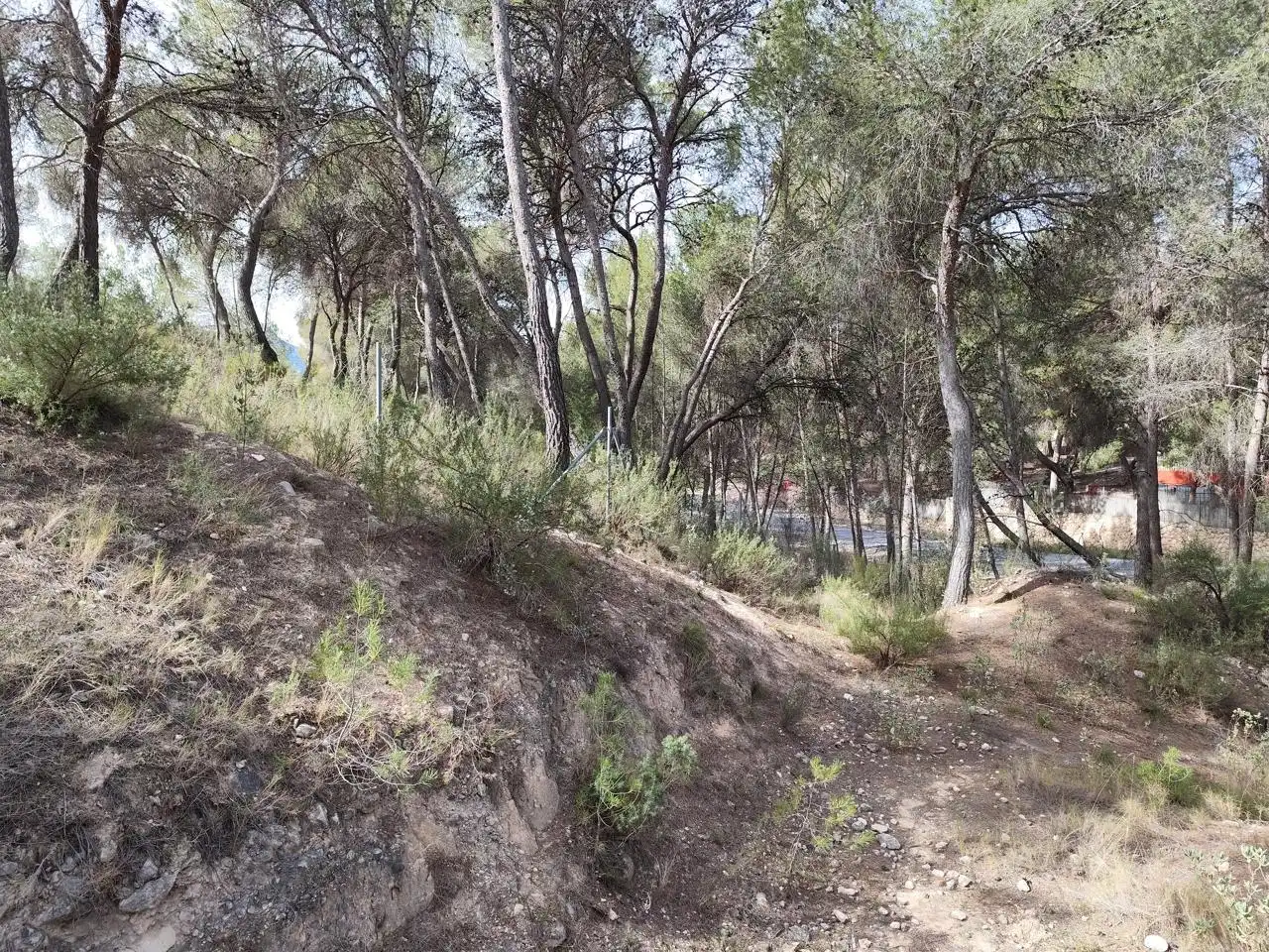 Terrenys i solars en venda a Tibi, imagen 8