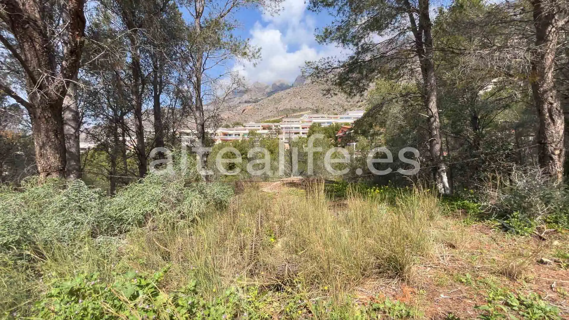 Terreny residencial en venda a Calle Erica, imagen 15