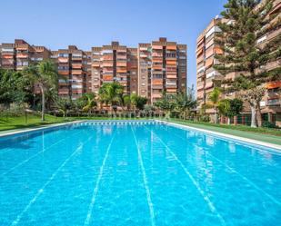 Swimming pool of Flat for sale in Alicante / Alacant  with Air Conditioner, Terrace and Swimming Pool