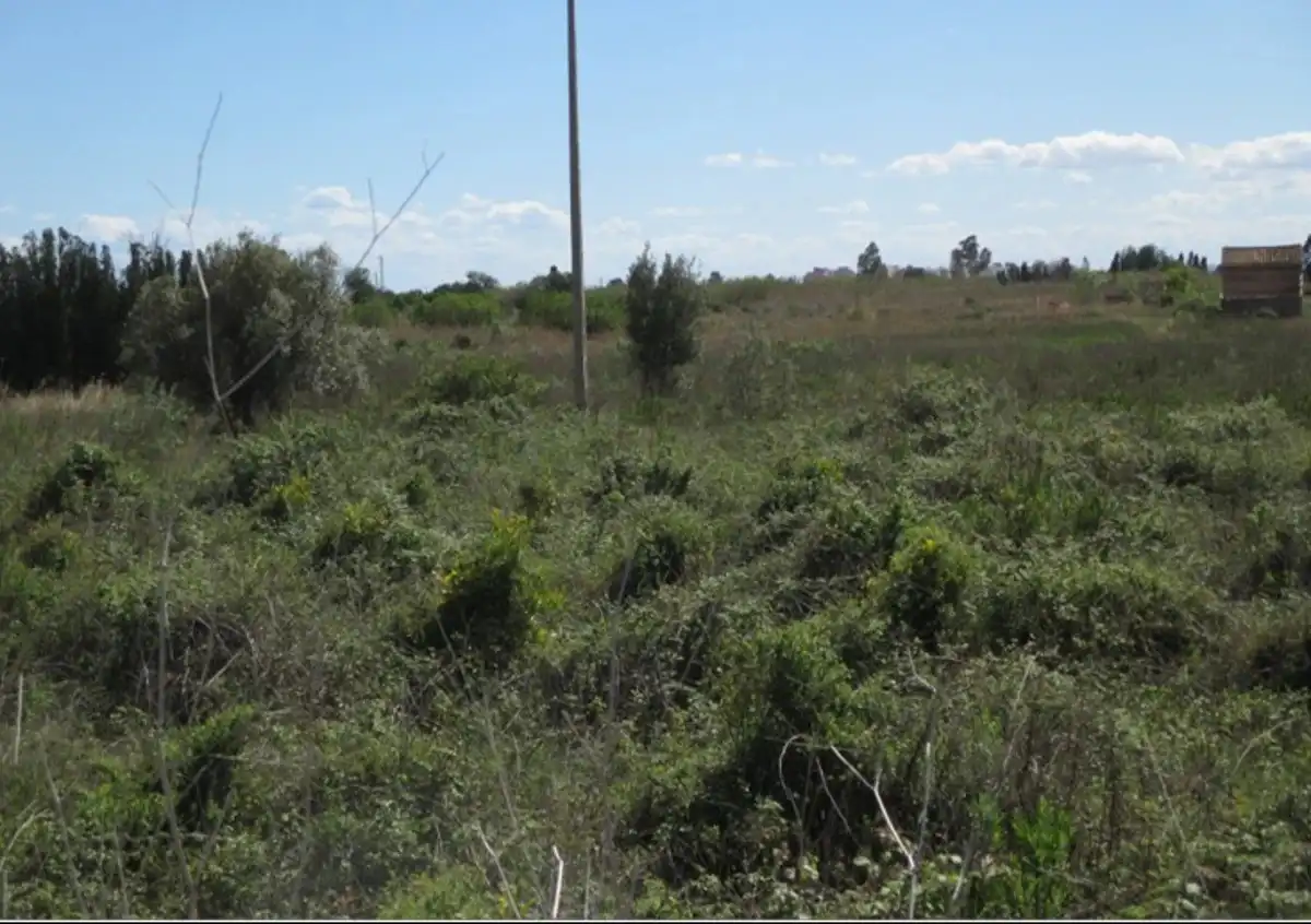Terreny residencial en venda a Piscinas