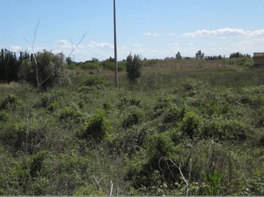 Terreno residenziale in vendita a Piscinas