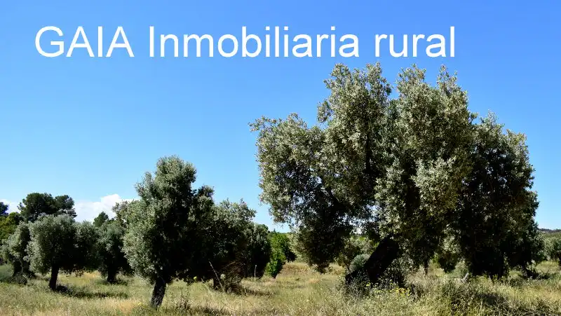 Finca rústica en venta en Maella