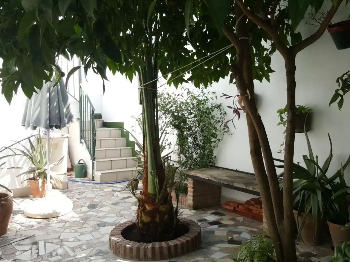 Jardín de Piso en venta en Baena con Amueblado