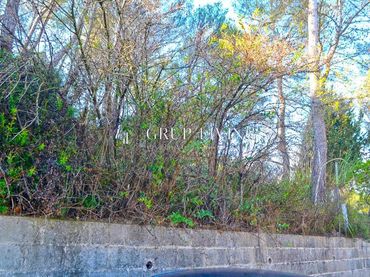 Terreno residencial en venta en Calle LLOP DEL (M.M.)