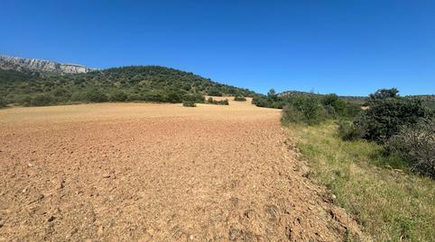 Foto 5 de Terreno en venta en 2 Parcela 270, Bádenas, Teruel