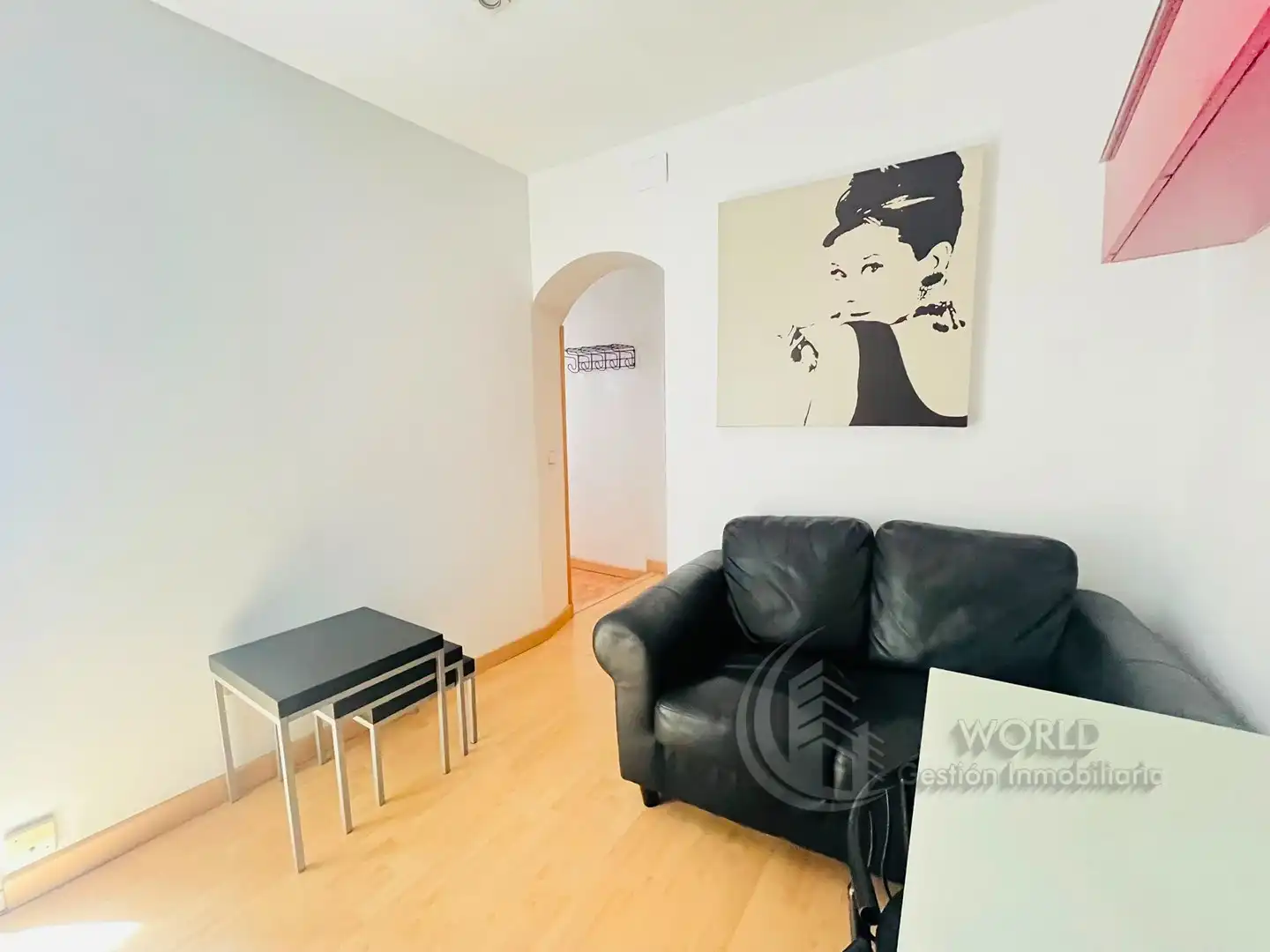 Sala d'estar de Apartament de lloguer en Madrid amb Calefacció, Moblat i Rentadora