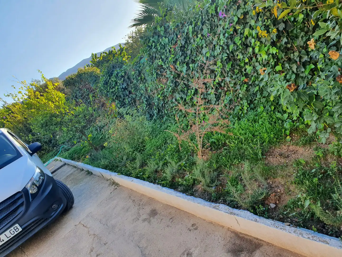 Casa rústica con piscina en venta en Buenavista - Lauro Golf, imagen 8