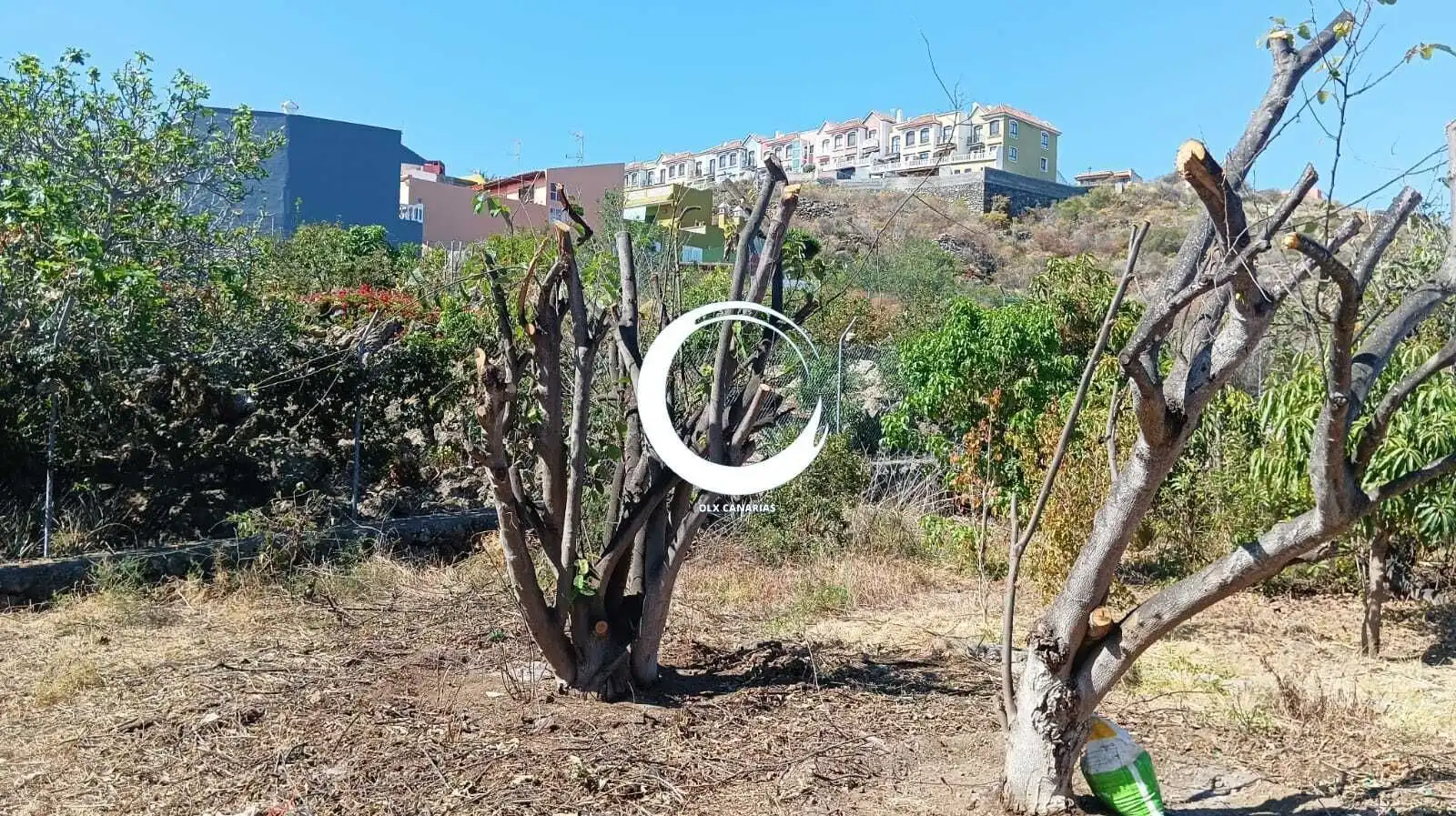 Rural land for sale in Camino la Cueva del Rey, imagen 22