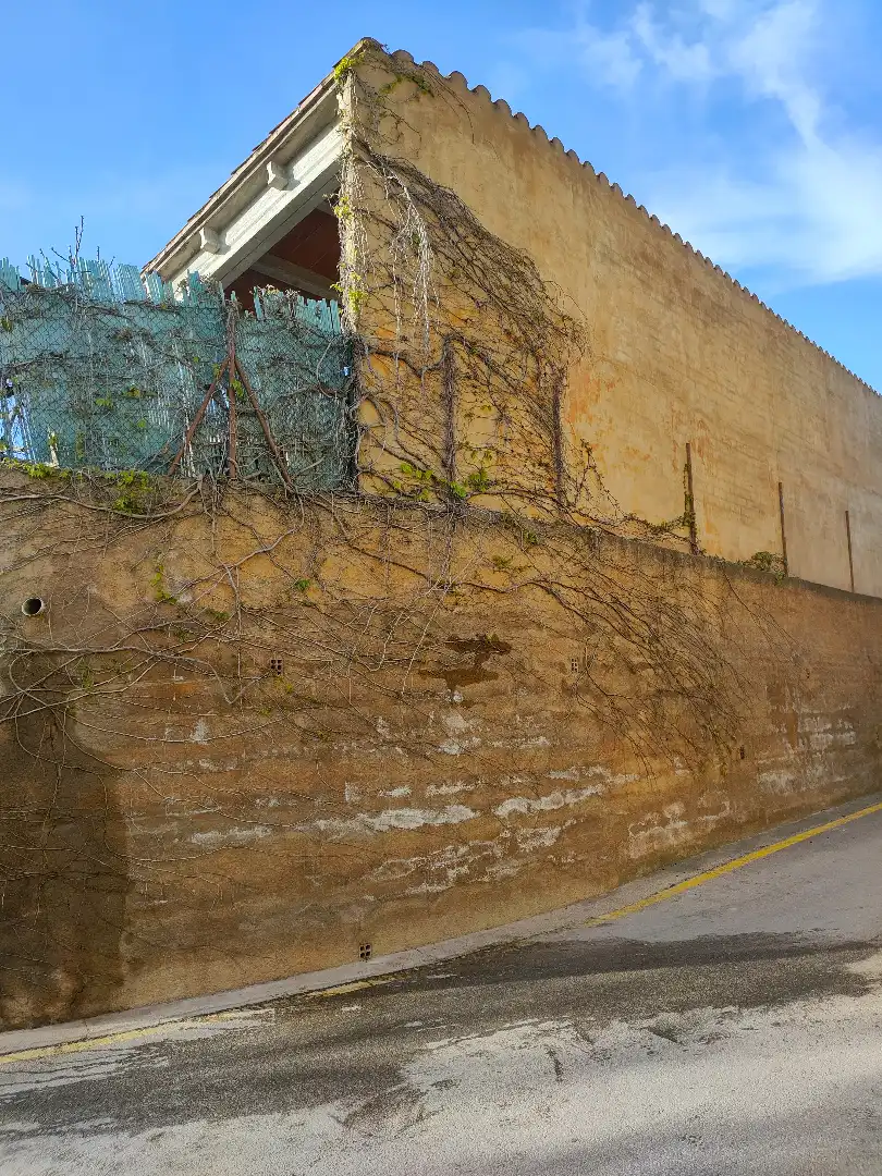 Vista exterior de Residencial en venta en Fontanilles