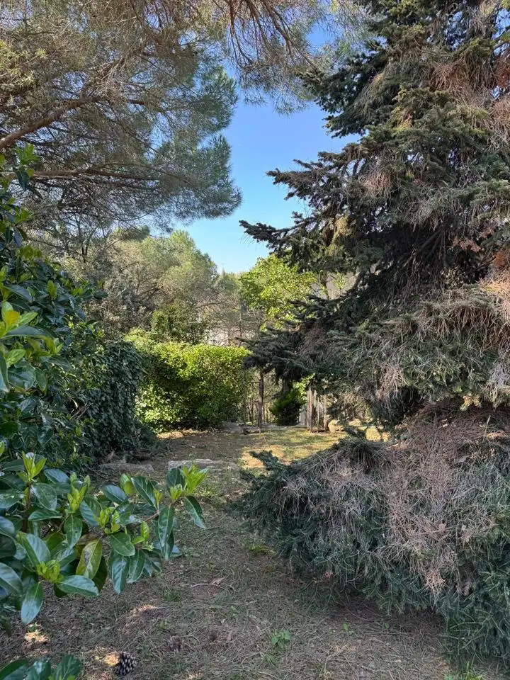 Grundstücke und Bauplätze zum Verkauf in De Lluis Millet, imagen 12