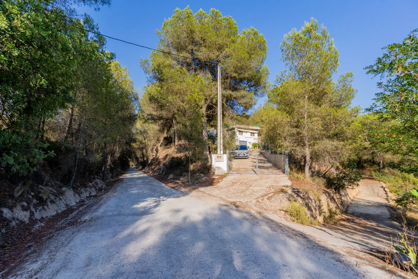 Vista exterior de Casa o xalet en venda en Segorbe amb Jardí privat, Terrassa i Piscina
